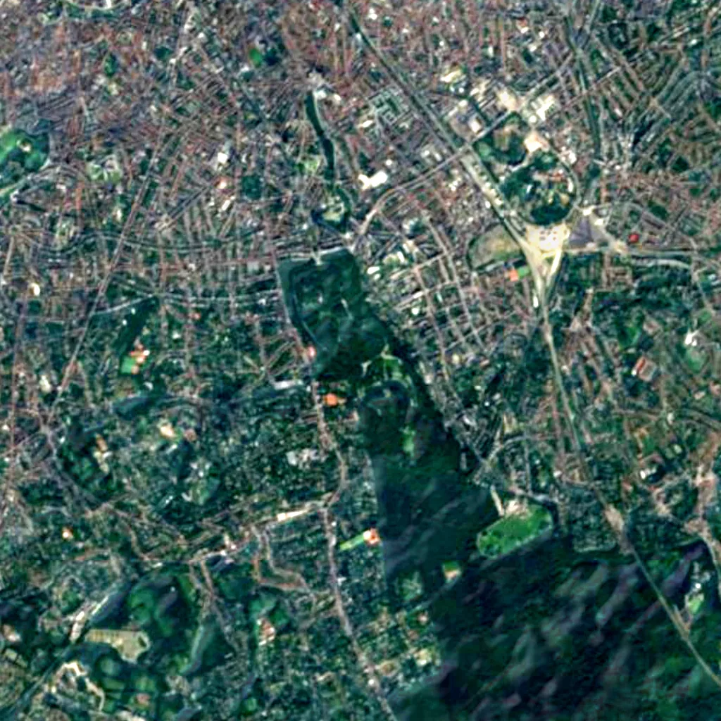 Bois de la Cambre - Ter Kamerenbos seen from above (Sentinel-2)