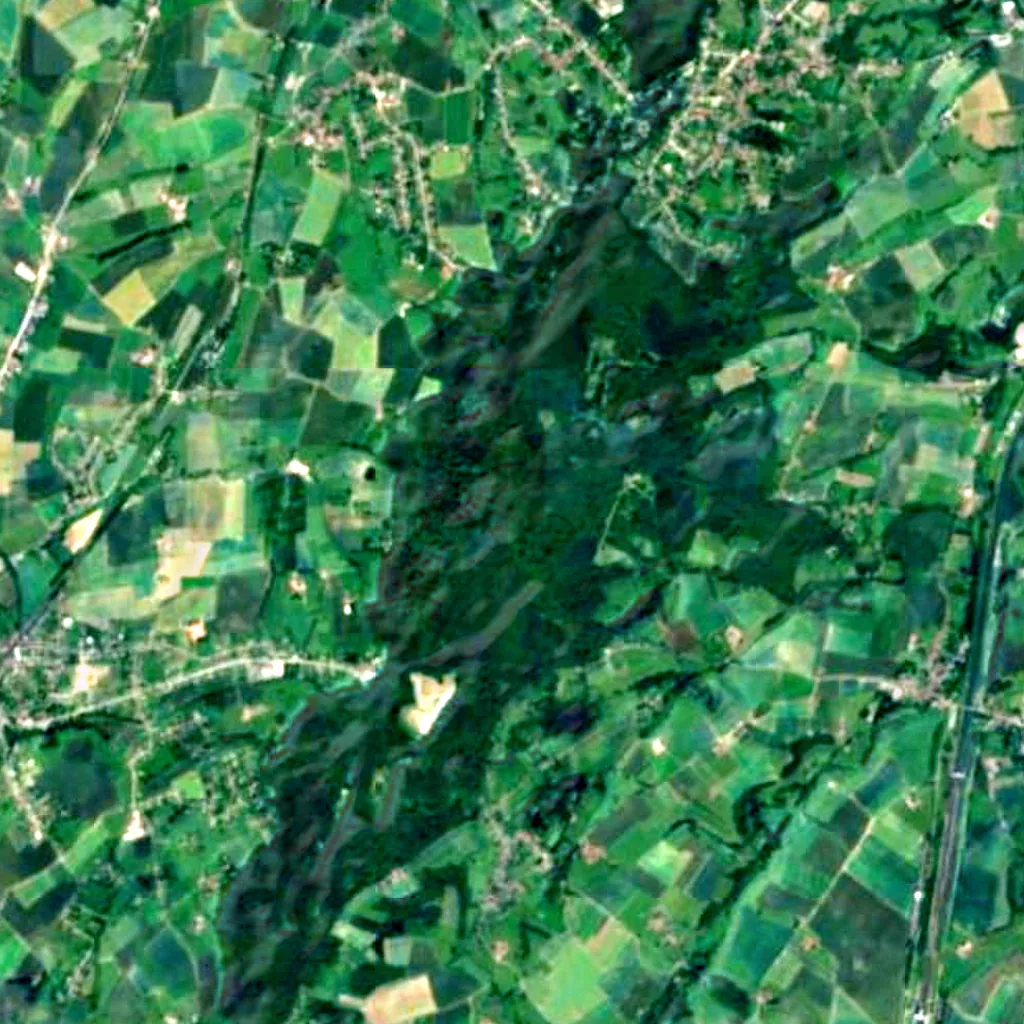 Bois de la Houssière seen from above (Sentinel-2)