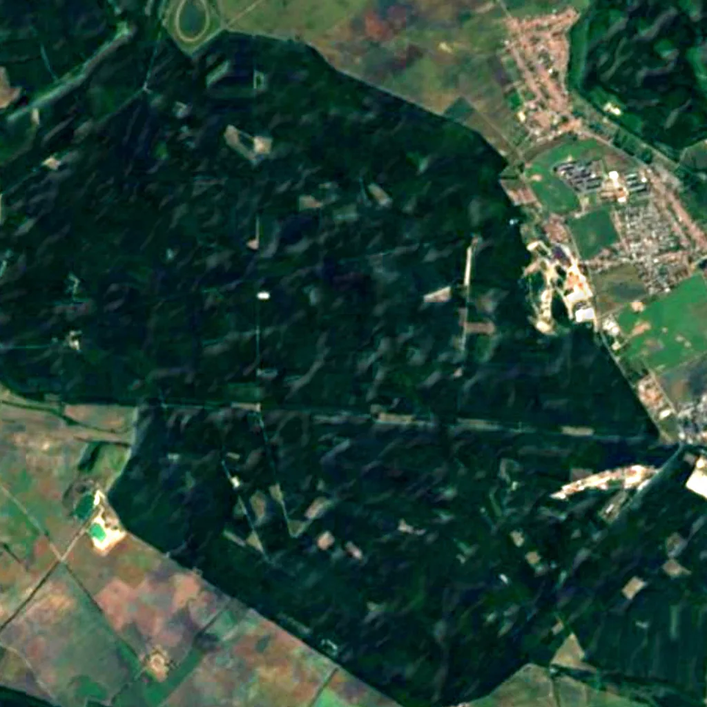 Boří Les seen from above (Sentinel-2)