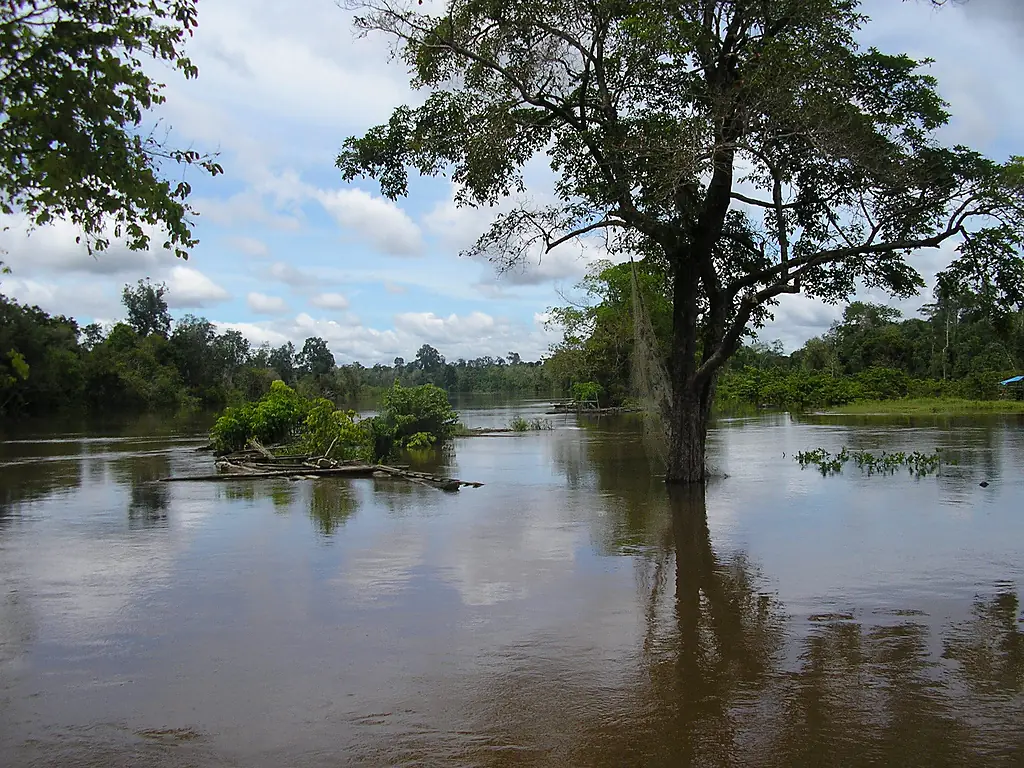 Riverbank area of Kapuas River