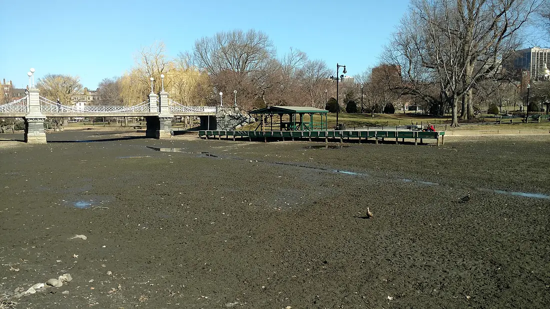 Boston Public Garden IMG 20180301 101718164