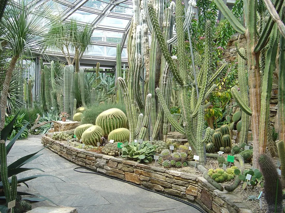 Botanical Garden Berlin - Cacti House