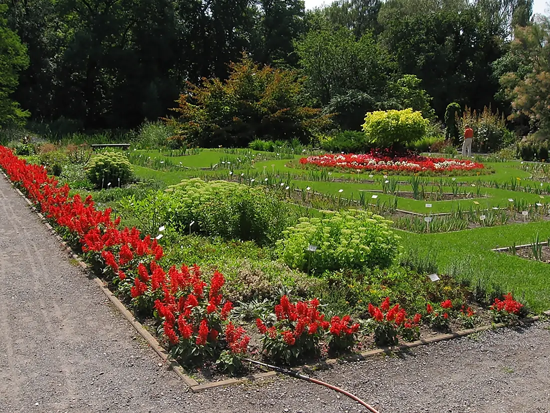 Kraków - ogród botaniczny UJ