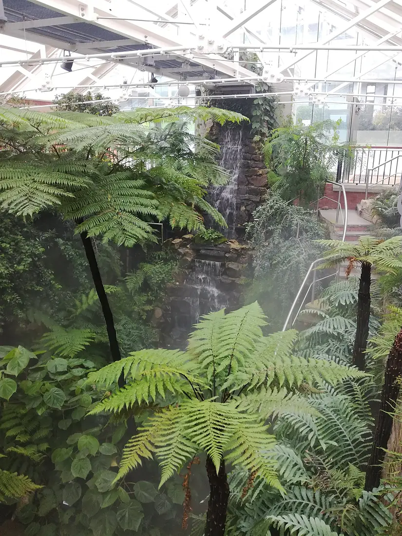 Tropical Ravine House, Belfast Sept 2018 10