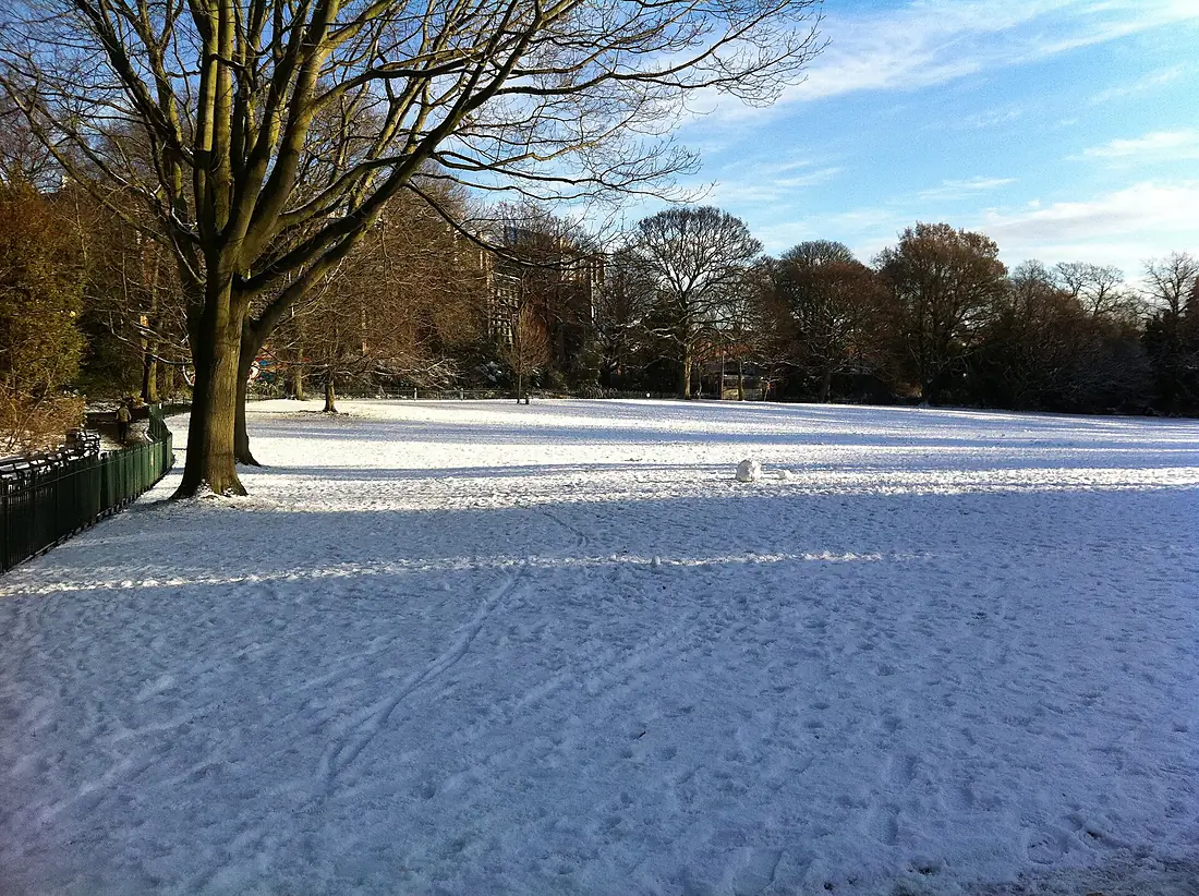 Botanic Green in Winter, December 2010