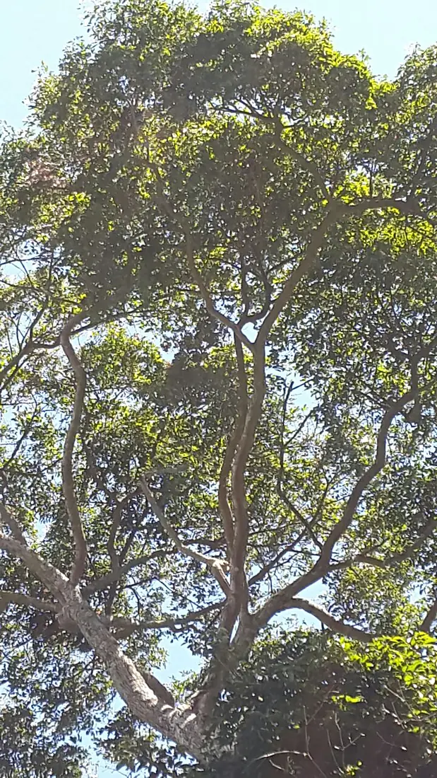 IMG-20180222-WA0000