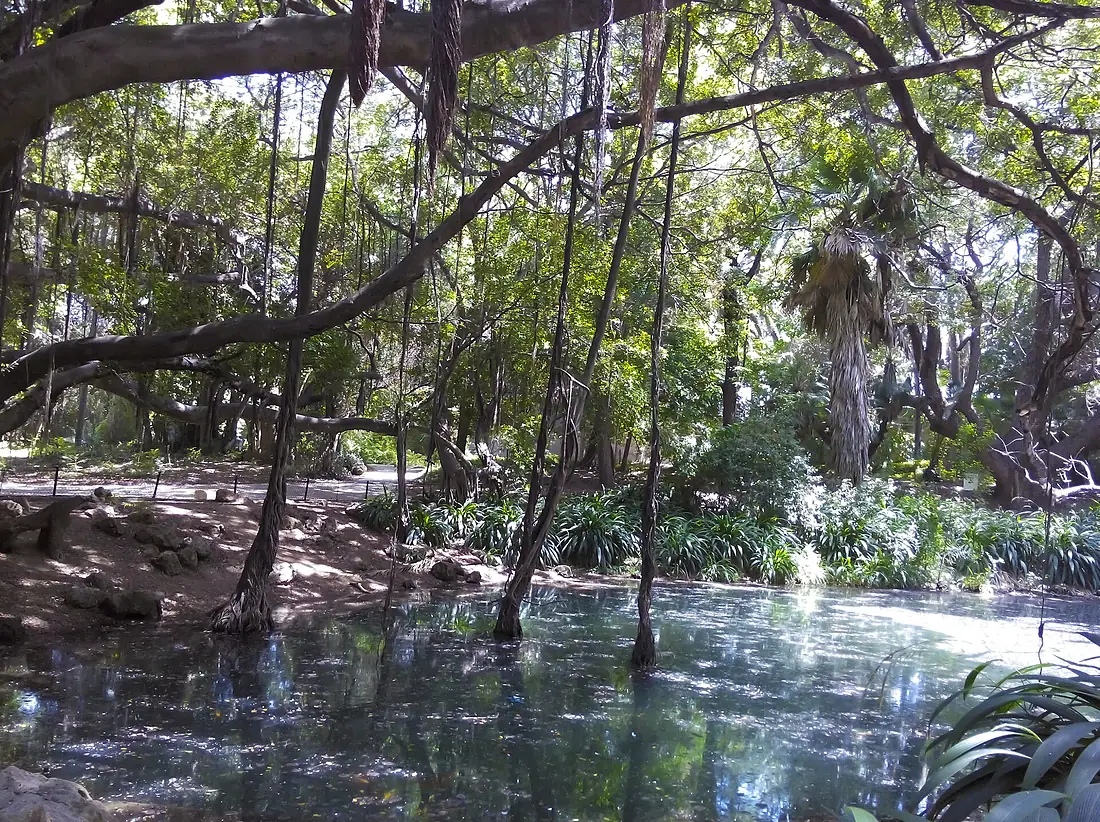 Botanical Garden of Hamma