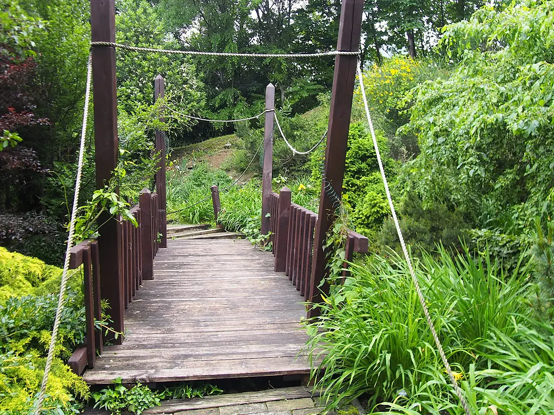 Botanical Garden in Bratislava 2019-05-29 01