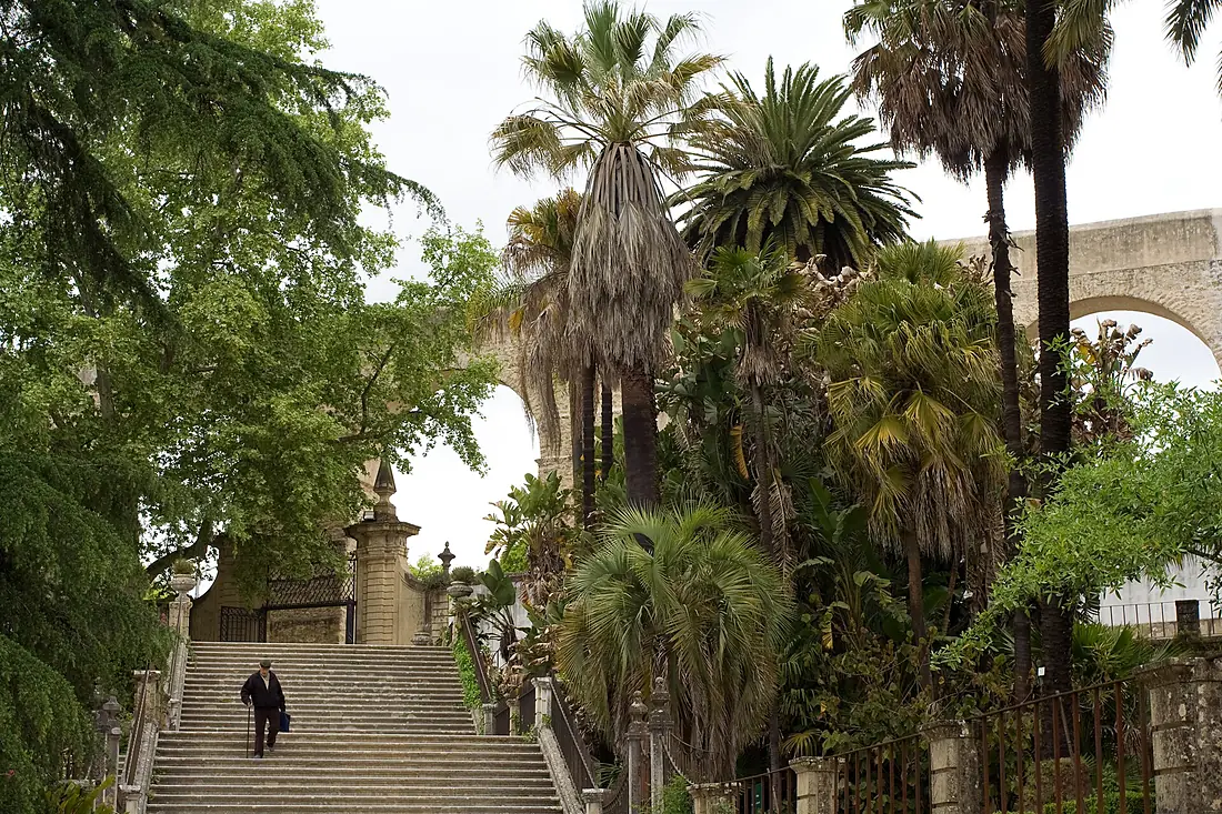 Jardim Botânico (3540454067)