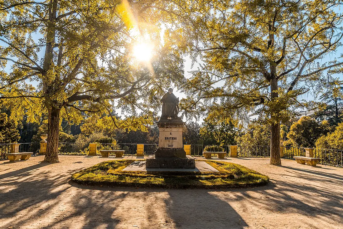 Jardim Botânico da Universidade de Coimbra 3