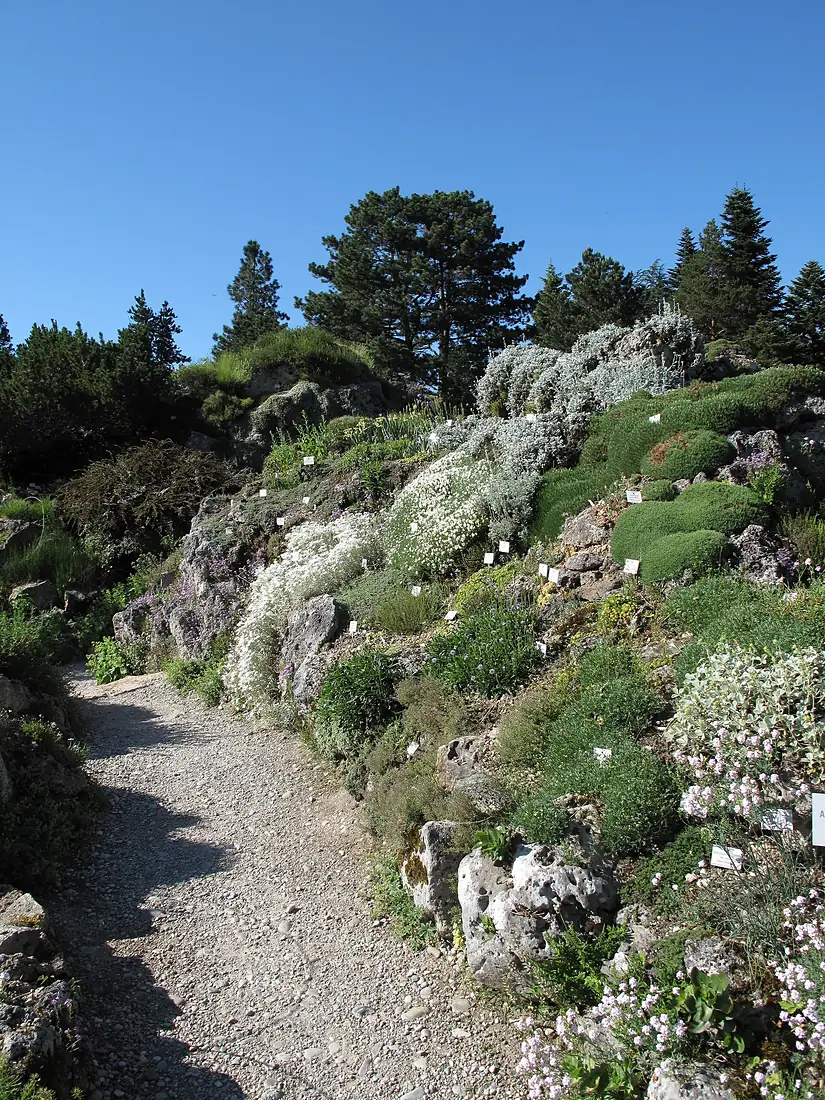 Botanic Garden Munich (Nymphenburg) Alpine section