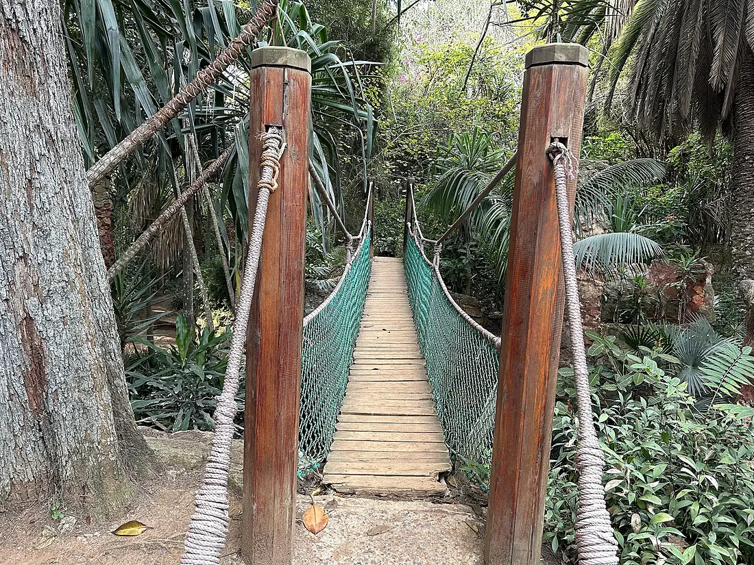 Bridge at Exotic Gardens of Sidi Bouknadel - November 2024