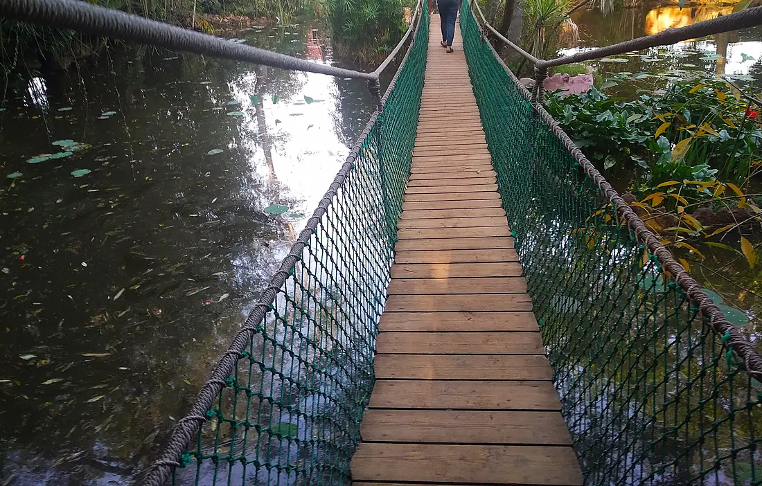 Flexible romantic bridge in exotic garden جسر رومانسي مرن في حديقة غريبة