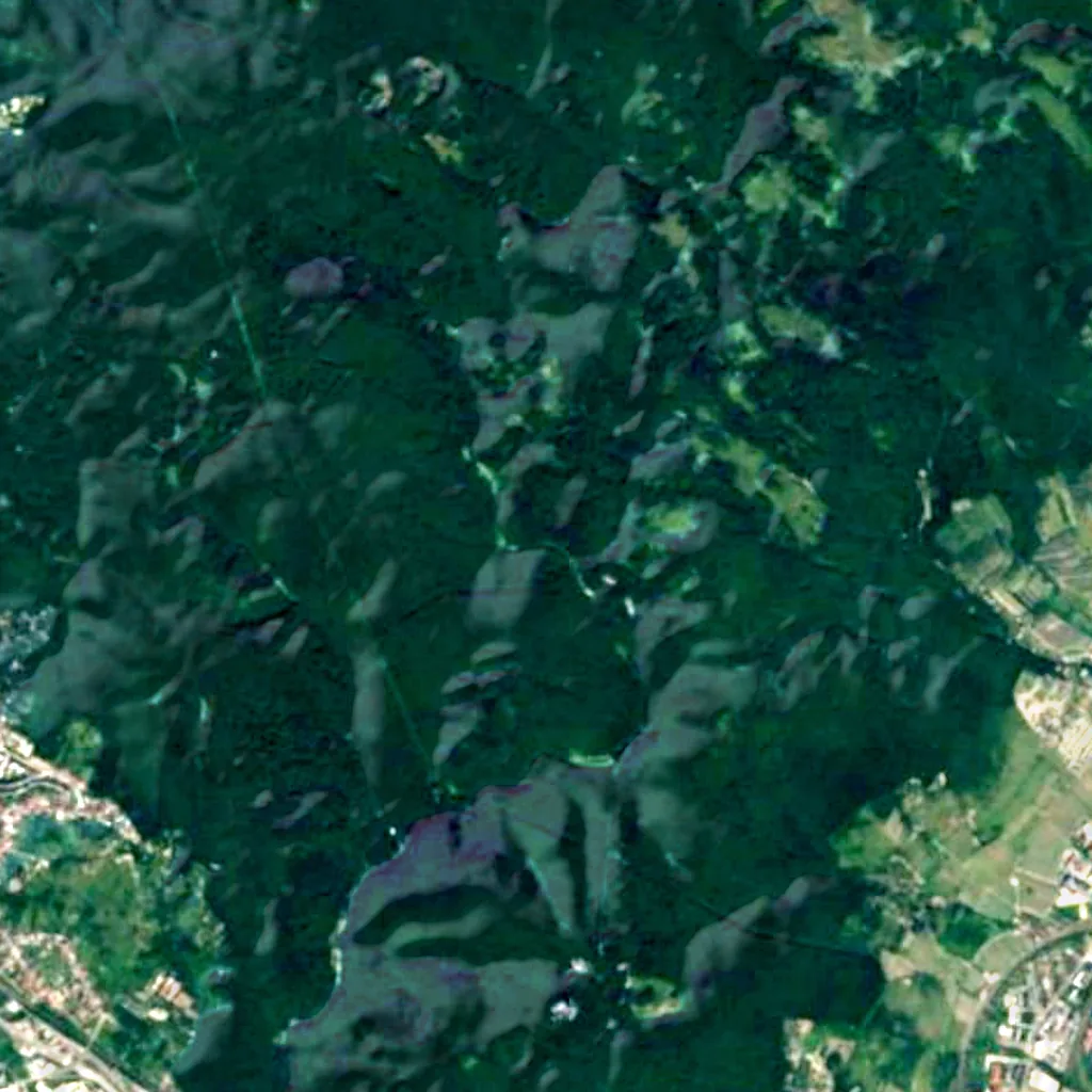 Bratislavský lesný park seen from above (Sentinel-2)