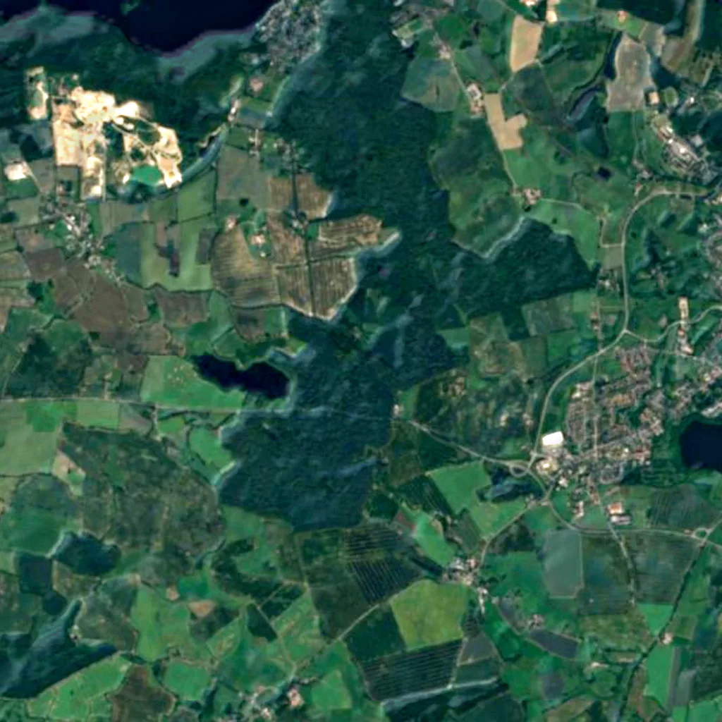 Bridegroom's Oak seen from above (Sentinel-2)