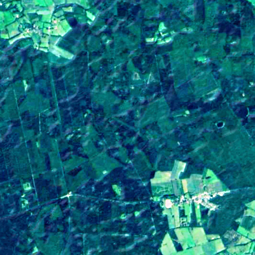 Buchholz seen from above (Sentinel-2)