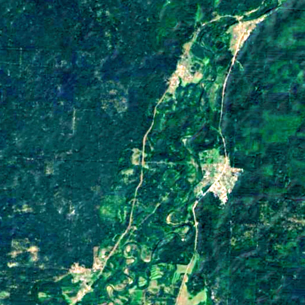 Buzuluksky Bor National Park seen from above (Sentinel-2)