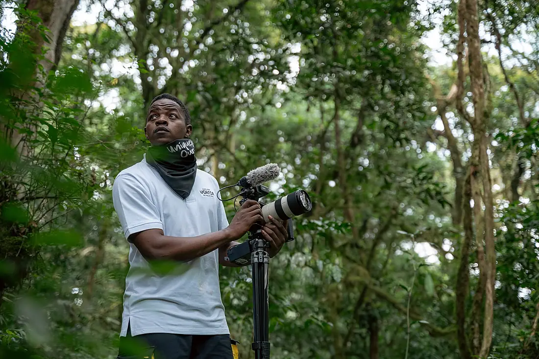 Bwindi impenetrable Forest