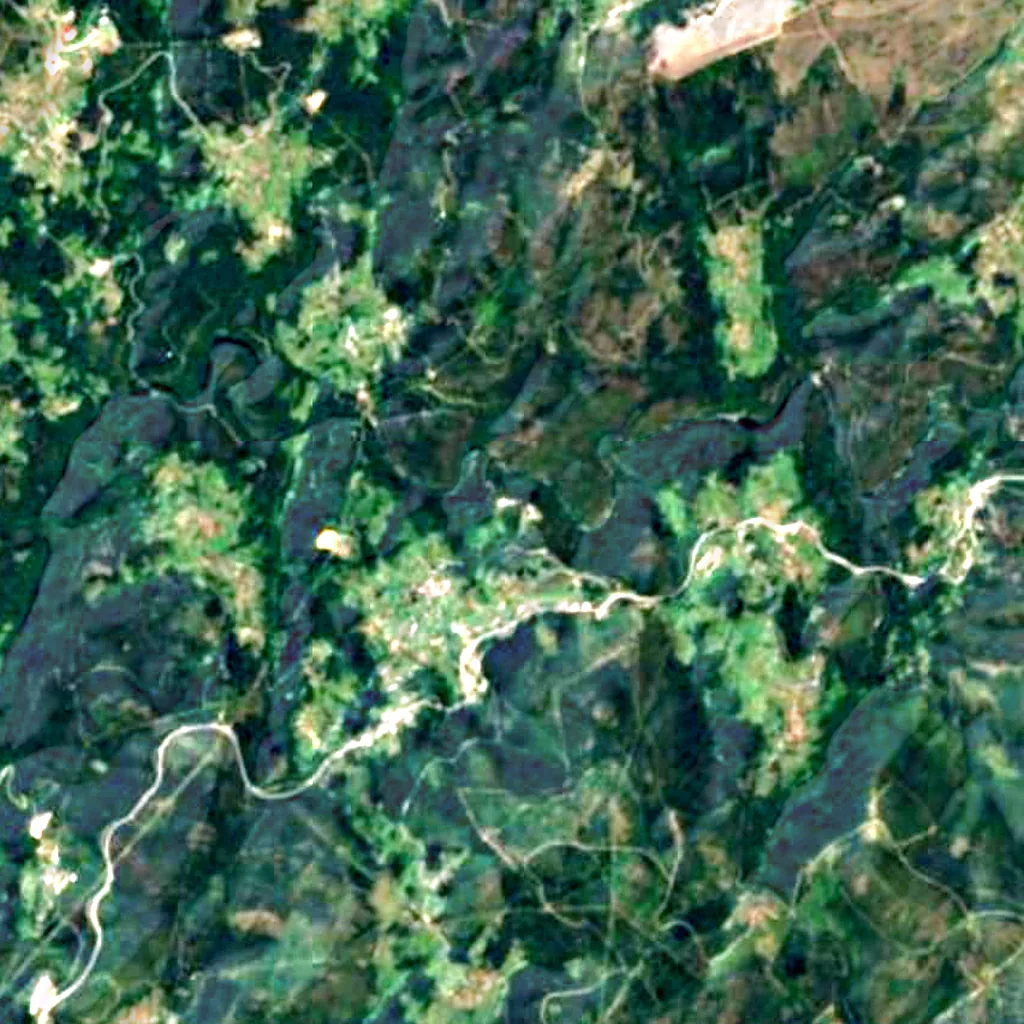 Carballeira de San Xusto seen from above (Sentinel-2)