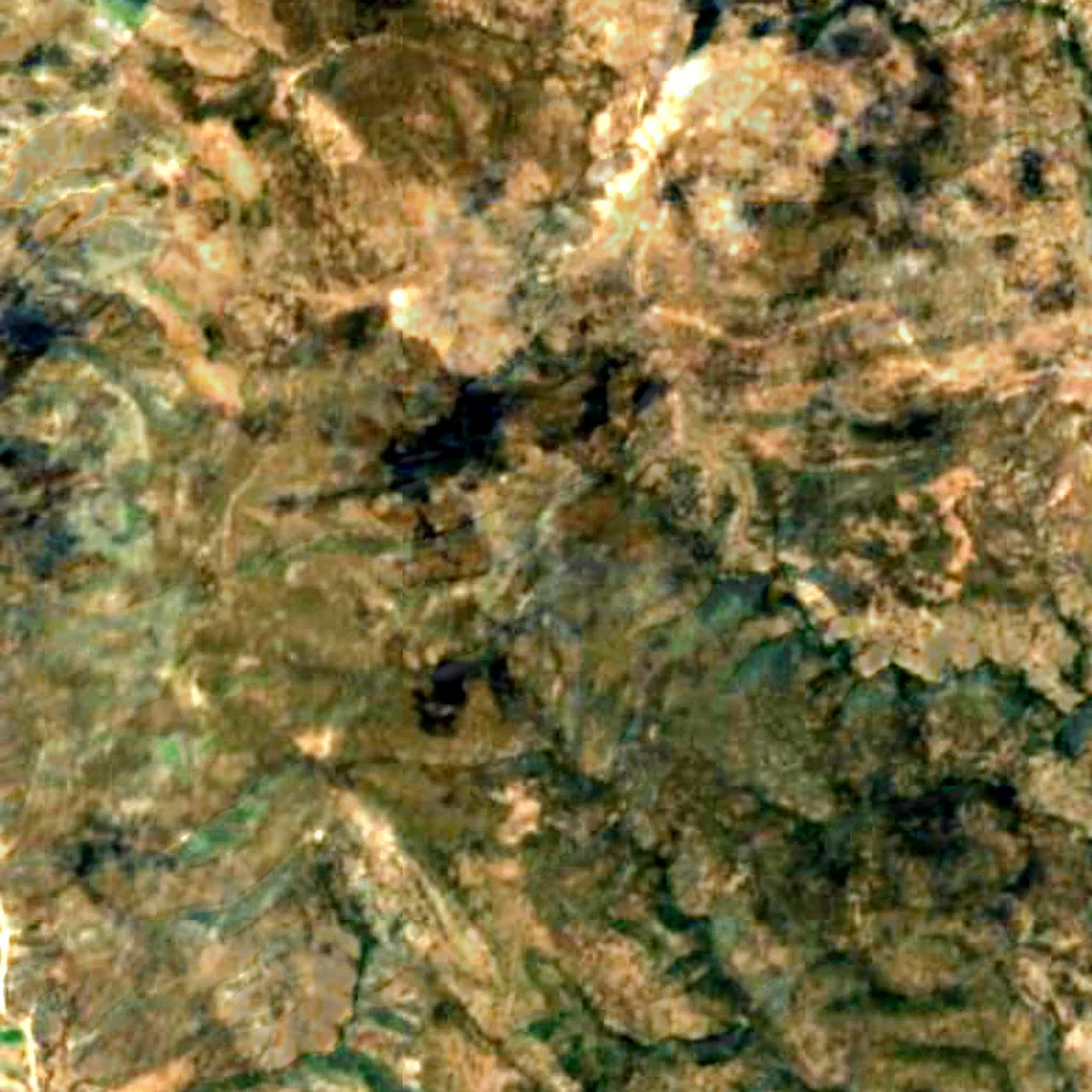 Carson National Forest seen from above (Sentinel-2)