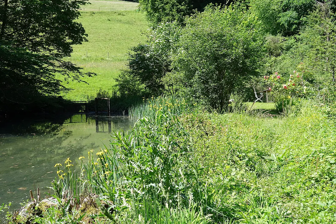 Ermitage Arlesheim unterer Weiher