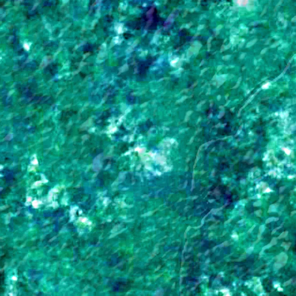 Central Suriname Nature Reserve seen from above (Sentinel-2)