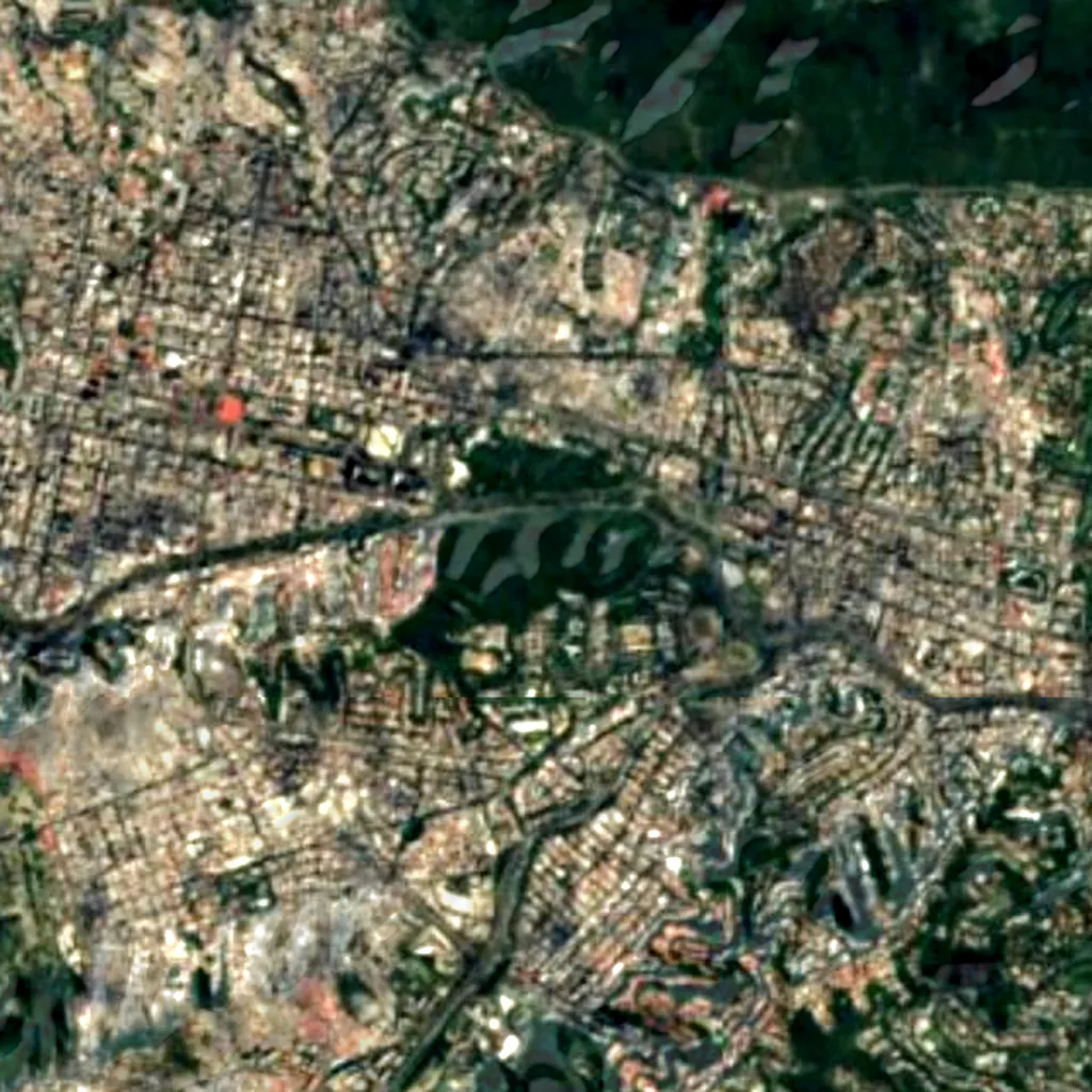 Central University Botanical Garden seen from above (Sentinel-2)