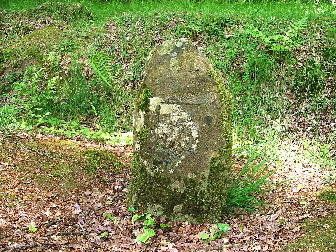 Borne royale forêt Cérisy