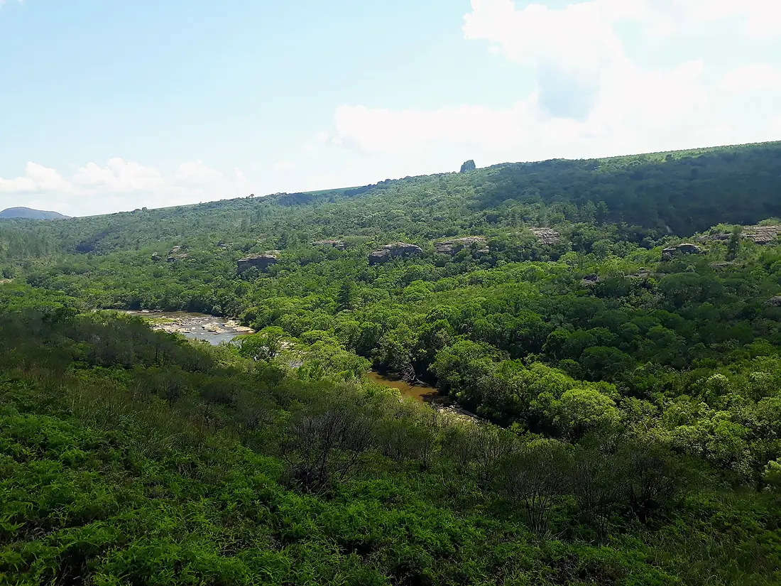 Parque Estadual do Cerrado.6