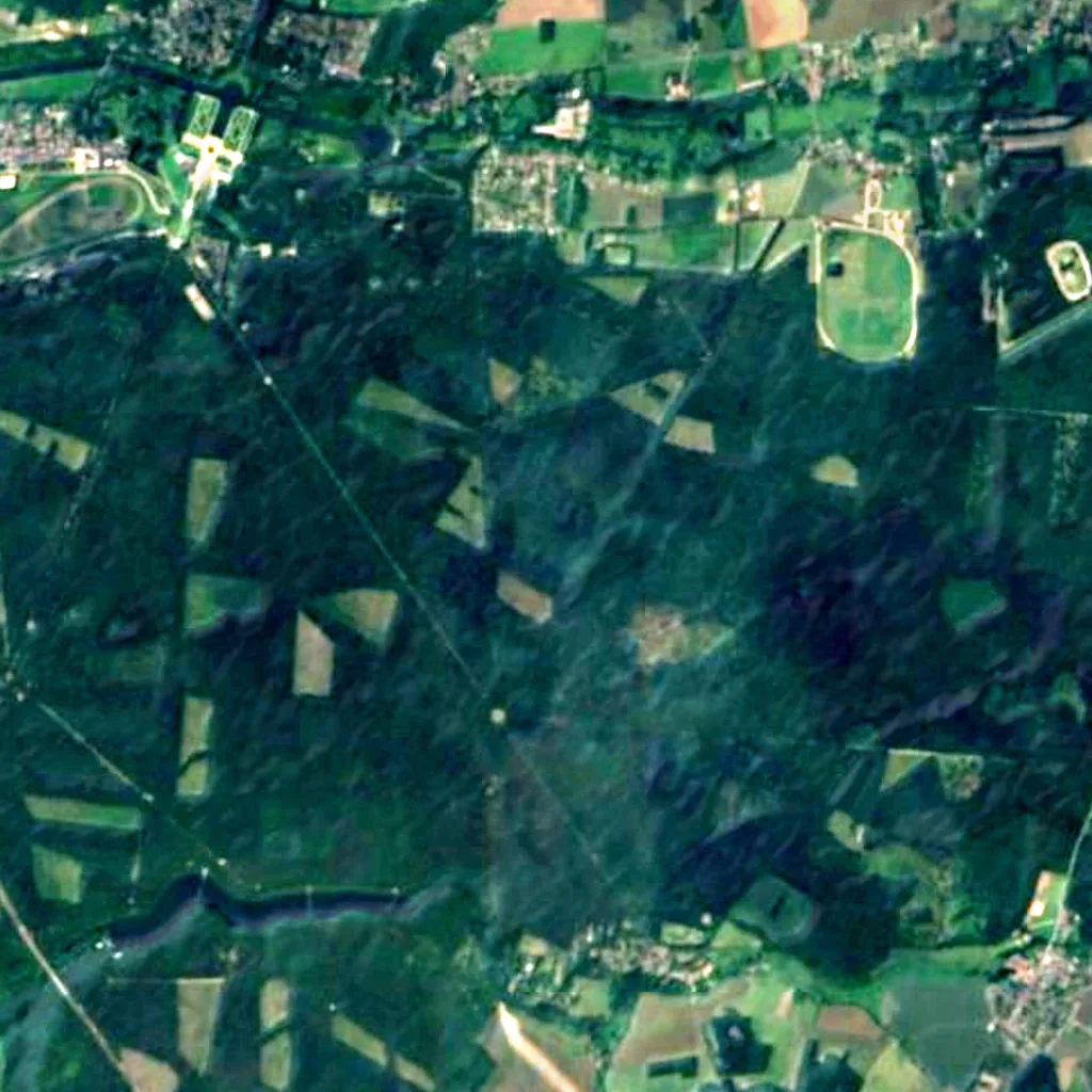 Chantilly Forest seen from above (Sentinel-2)