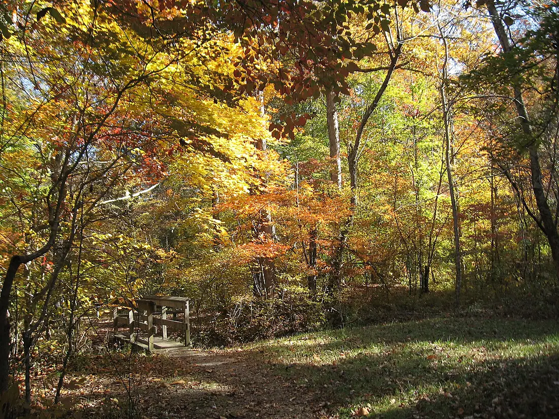 20081103-pocket-cmpgnd-trail-ChattahoocheeNF (13629932363)