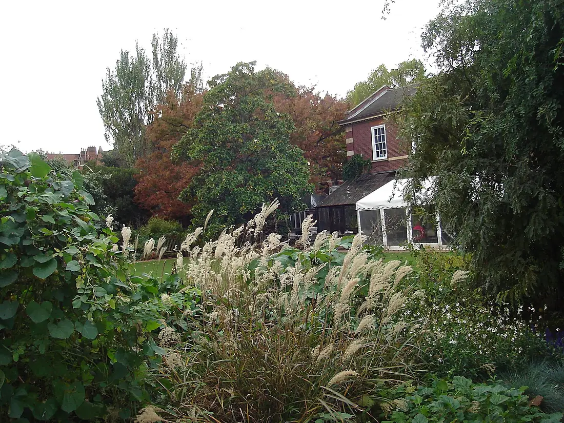 A view of the Chelsea Physic Garden