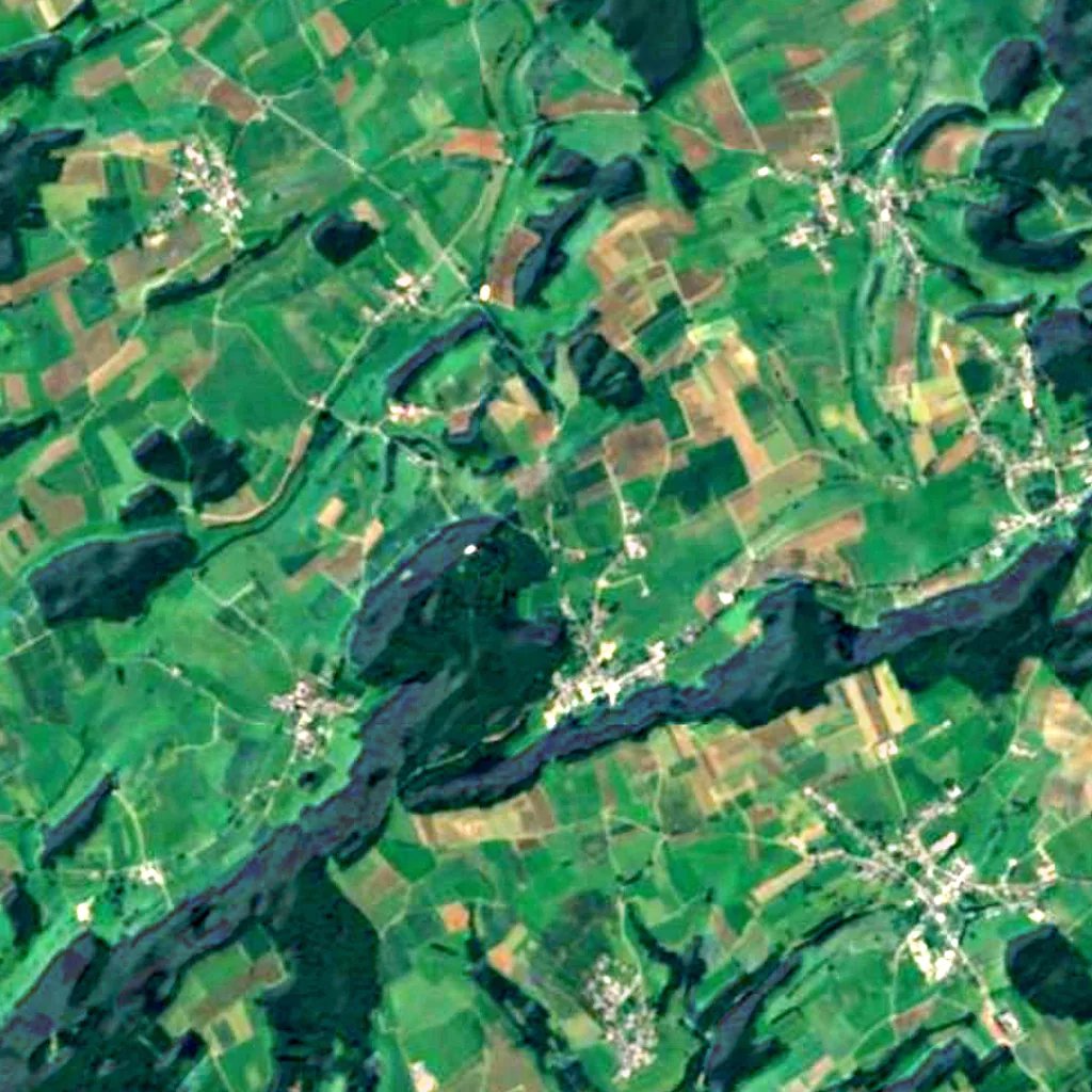 Chêne de Saeul seen from above (Sentinel-2)