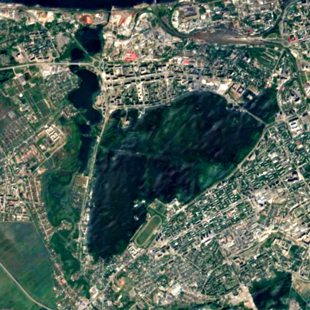 Chernyayevsky Forest seen from above (Sentinel-2)