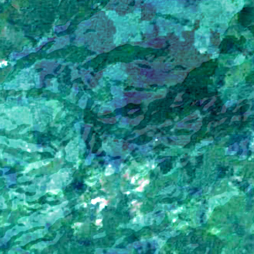 Chimalapas montane forests seen from above (Sentinel-2)