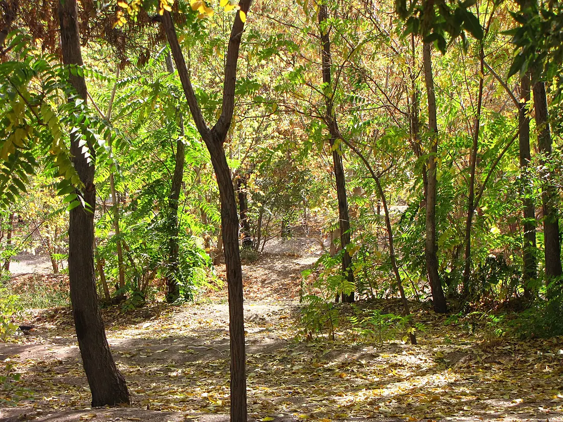 Chitgar - panoramio