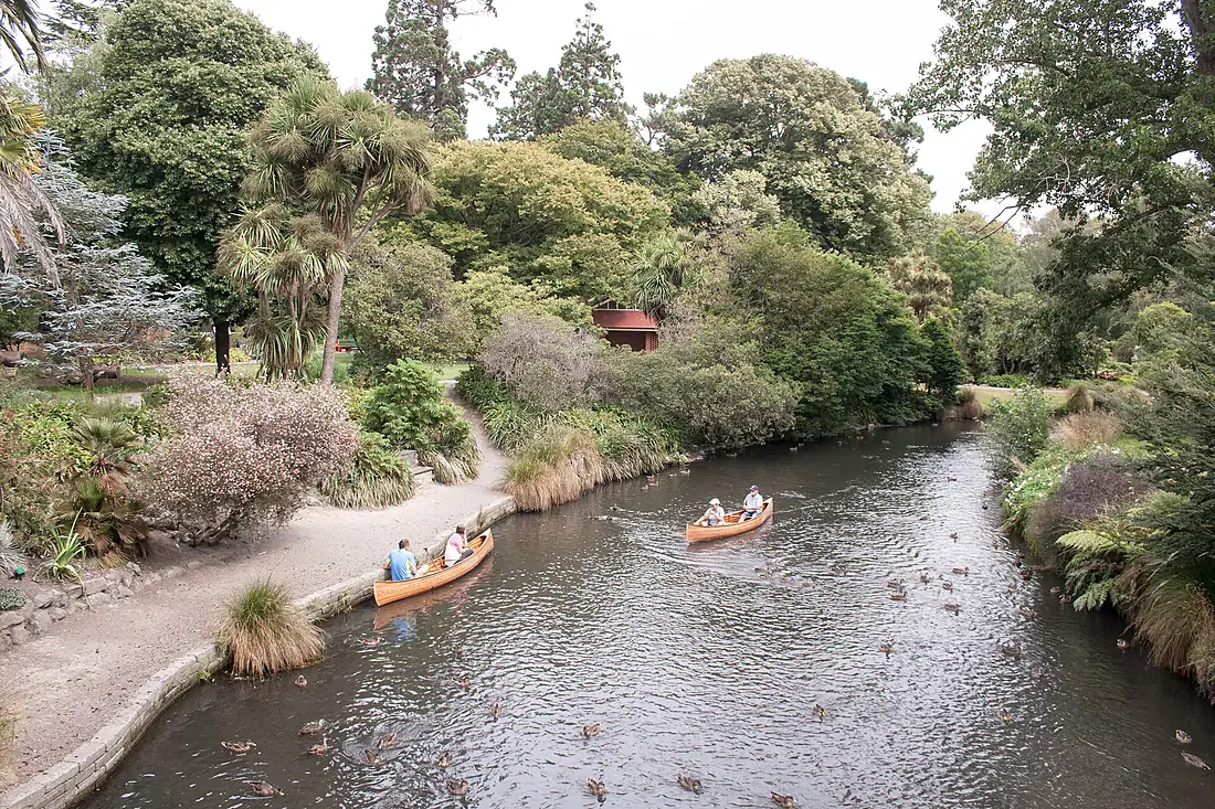 Christchurch Botanic Gardens, Avon river 2016-02-04