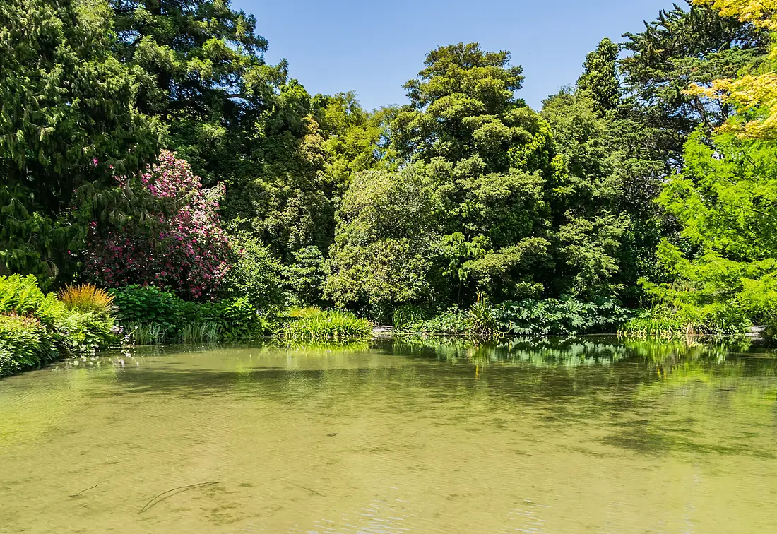Christchurch Botanic Gardens 16