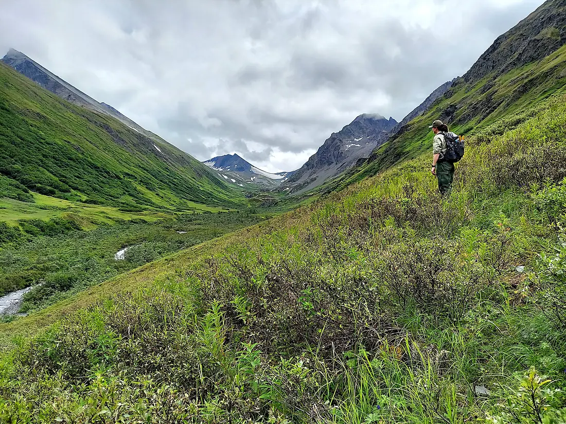 1st Place-This is Who We Are-Who We Are-Chugach-SLS-008 (51615647750)