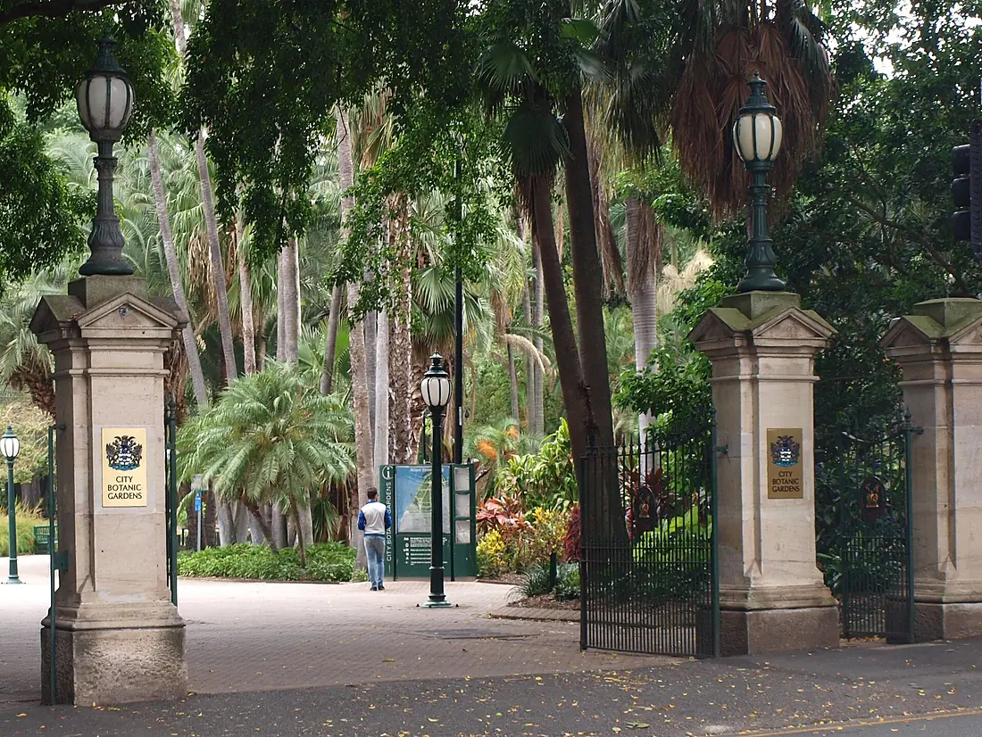 Brisbane City Botanic Gardens (01)
