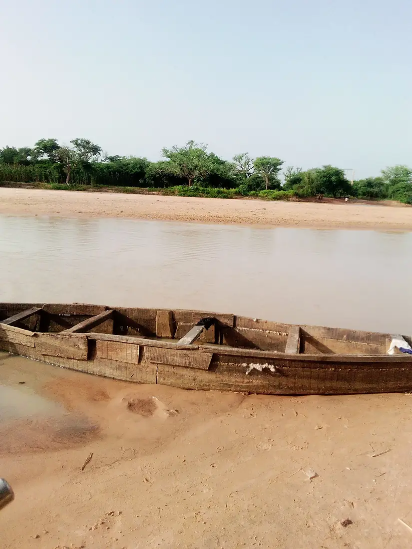 Le goulbi traversant la forêt classée de Madarounfa