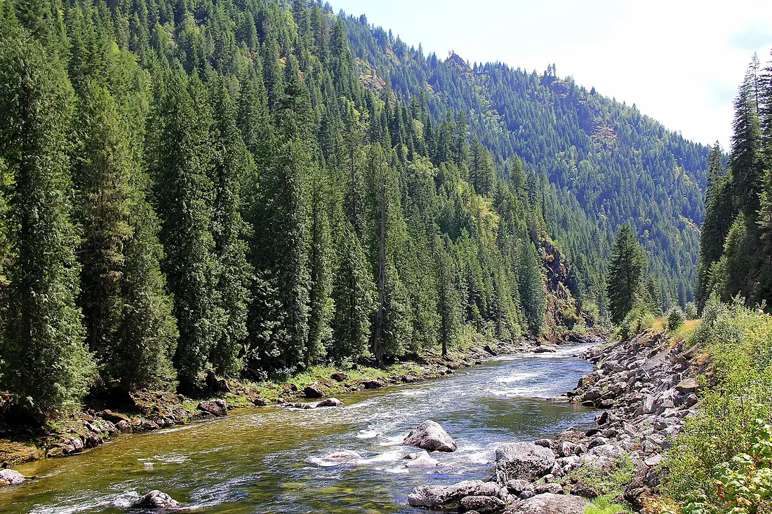 Lochsa River in Clearwater NF