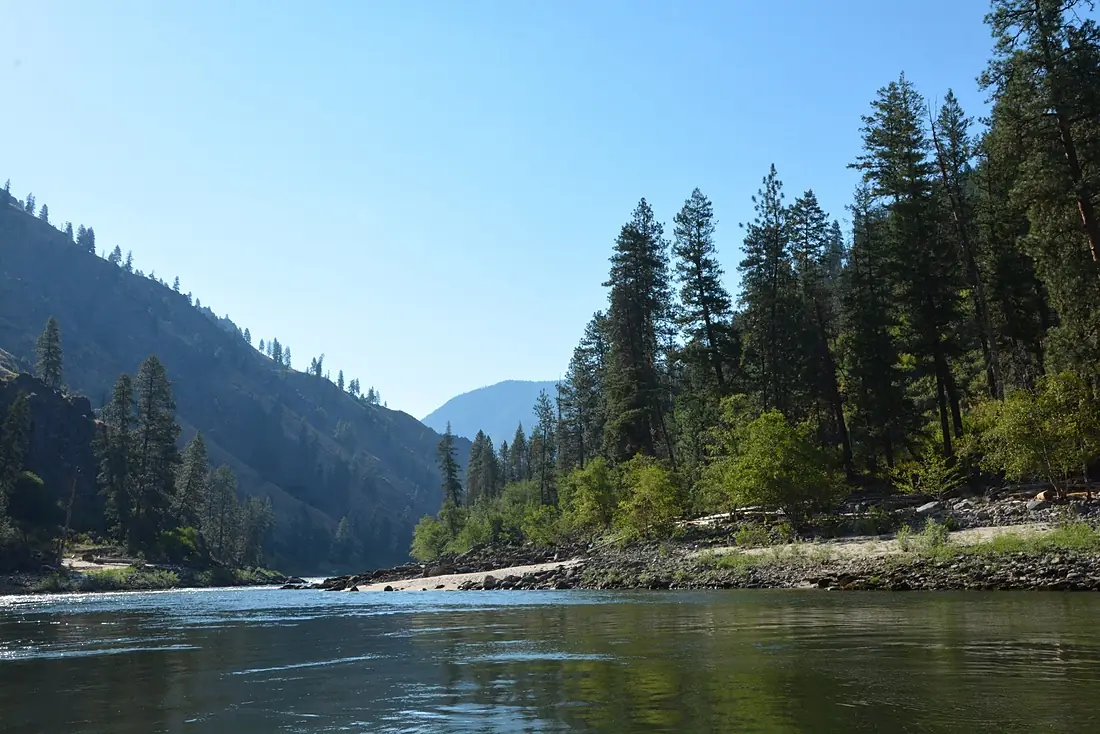 Clearwater National Forest - Social 1