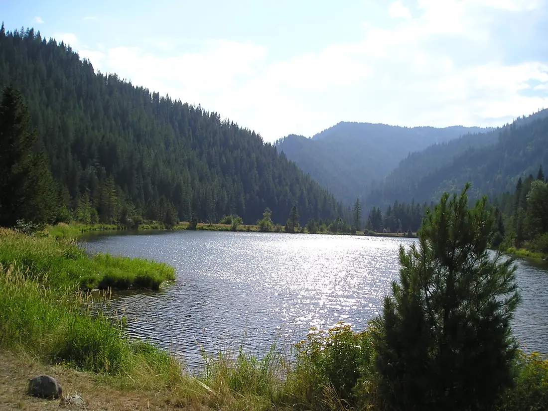 Cold Springs Pond (4867248488)