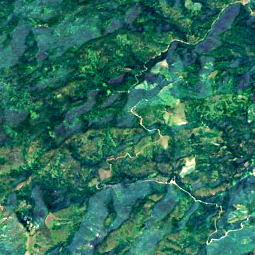 Clearwater National Forest seen from above (Sentinel-2)