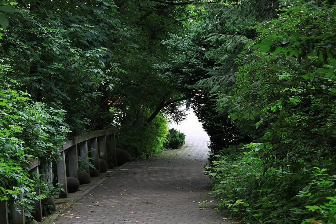 Botanic Garden Cluj-Napoca 4
