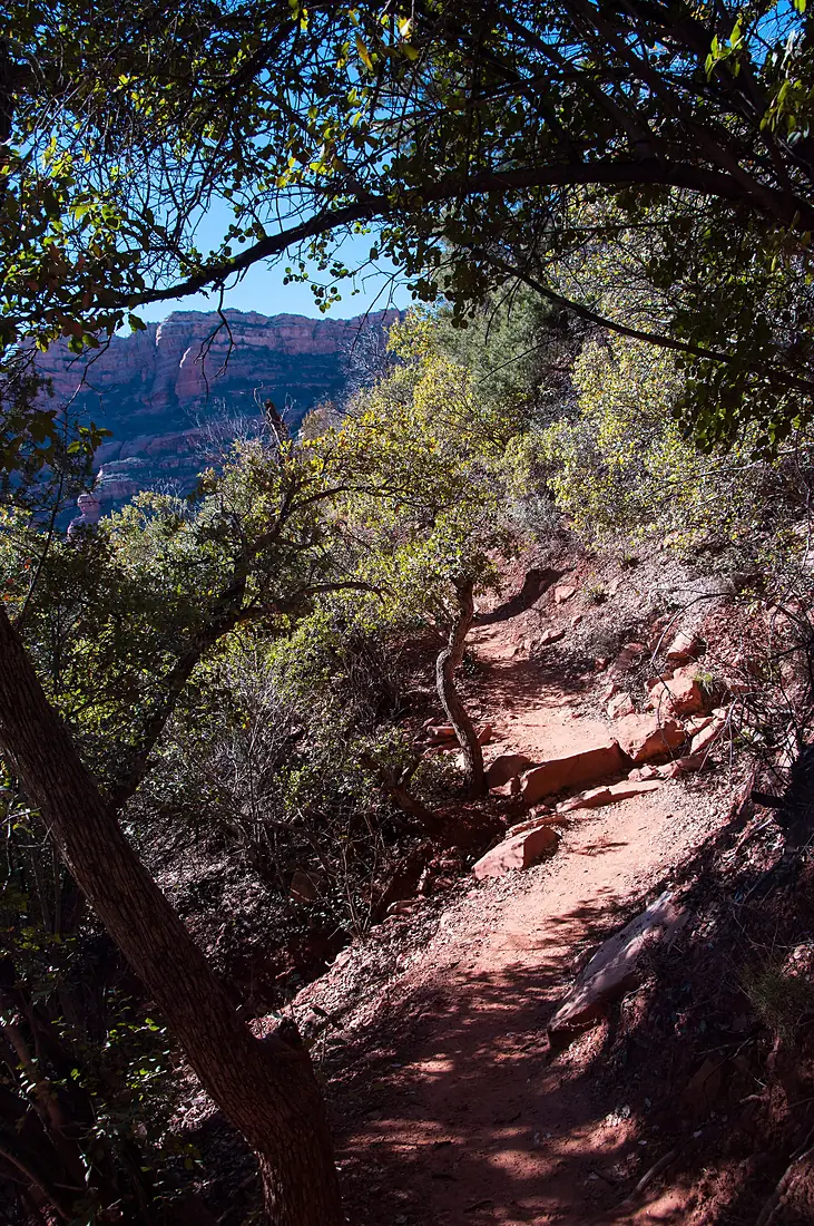 Boyton Canyon Trail No. 47 - 23914907074