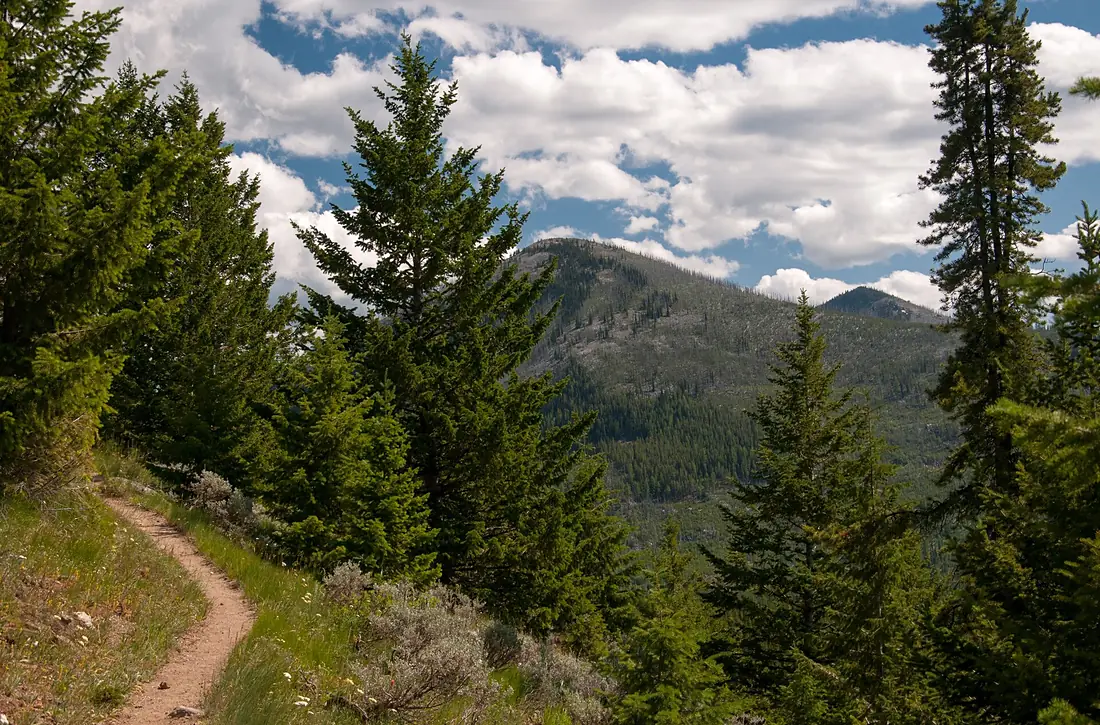 The Pacific Northwest Trail winding along the side of Jungle Hill