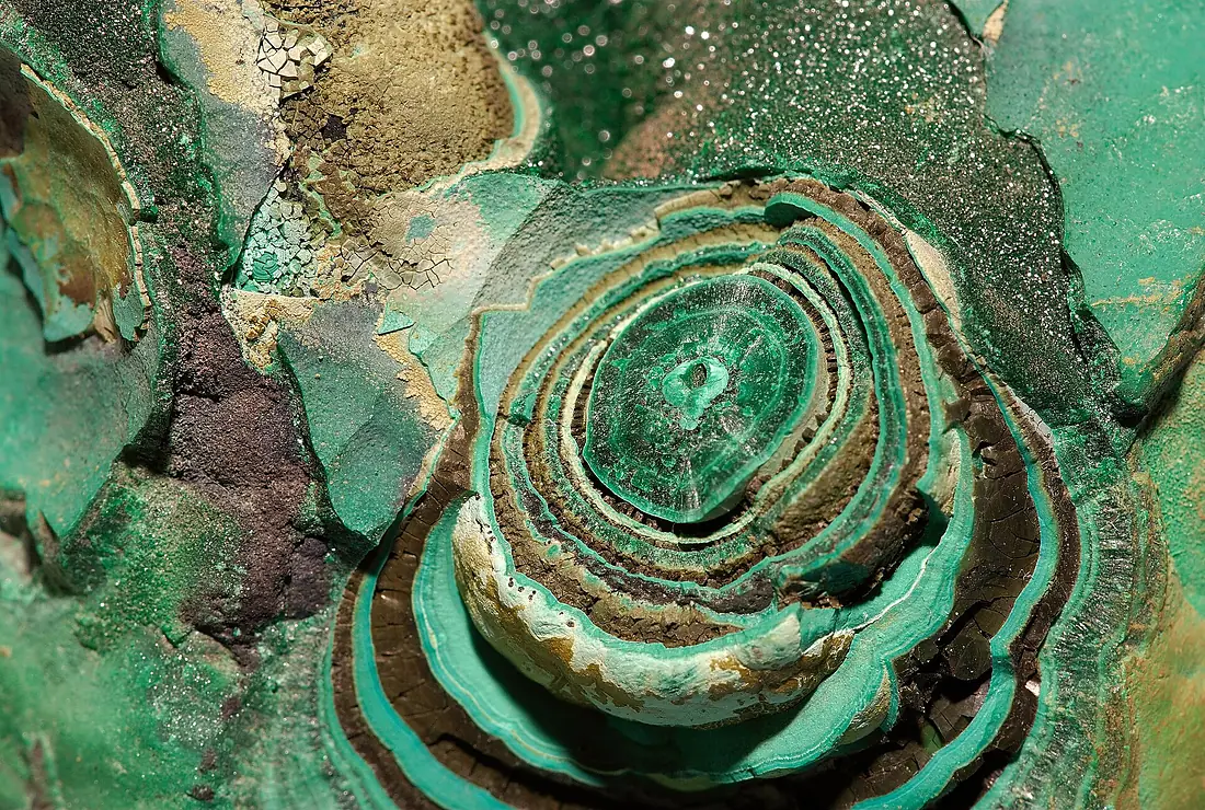 Malachite Congo 2 Luc Viatour
