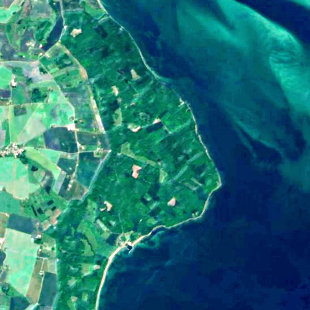 Corselitze Forest seen from above (Sentinel-2)